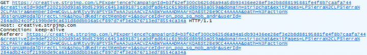 Figure 6. Packet trace shows the creative.strpjmp.com domain making a GET request to itself, creating an infinite number of requests
